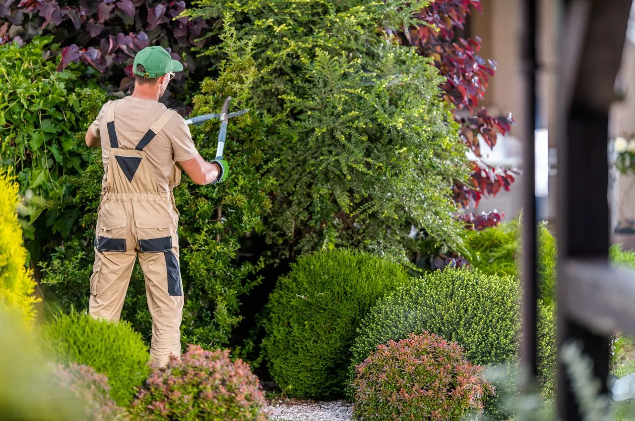 Paysagiste sur un chantier d'aménagement d'espaces verts